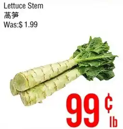 Fresh Value Lettuce Stem offer