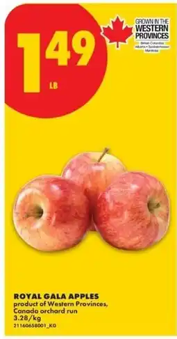 No Frills royal gala apples offer