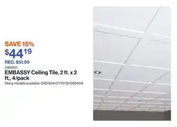 Patrick Morin Ceiling Tile, 2 ft. x 2 ft., 4/pack offer