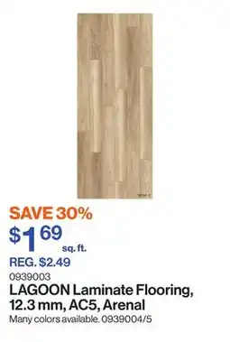 Patrick Morin LAGOON Laminate Flooring, 12.3 mm, AC5, Arenal offer