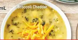 M & M Food Market Broccoli Cheddar Soups offer