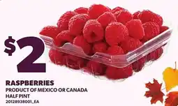Loblaws Raspberries offer