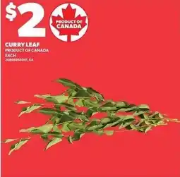 Loblaws Curry Leaf offer