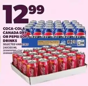 Coca-Cola Canada Dry or Pepsi Soft Drinks