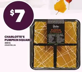 Charlotte's pumpkin square