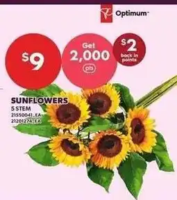 Loblaws Optimum sunflowers offer