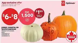 Loblaws Optimum jumbo, varietal or white pumpkins offer
