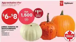 Independent Grocer Jumbo, Varietal or White Pumpkins offer