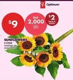 Loblaws Optimum sunflowers offer