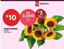 Independent Grocer Optimum sunflowers offer
