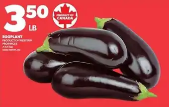 Eggplant