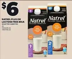 Independent Grocer Natrel plus or lactose free milk offer