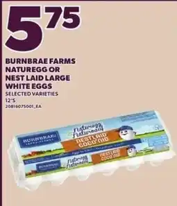 Independent Grocer Burnbrae Farms Naturegg or Nest Laid Large White Eggs offer