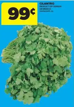 Real Canadian Superstore Cilantro offer