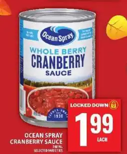 Food Basics Ocean Spray Cranberry Sauce offer
