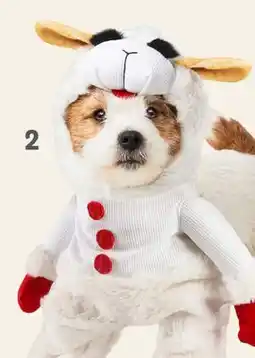 Petvalu Lamb Chop Halloween Costume offer