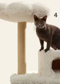 Petvalu JUMP! Delilah Cat Tree with Condo offer