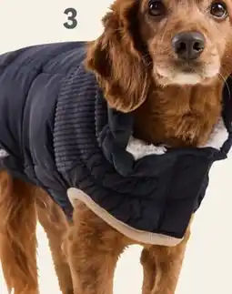 Petvalu GF Pet Cold Mountain Puffer - Navy offer