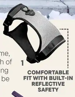 Petvalu Canada Pooch Reflective Harness offer