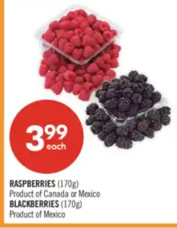 Shoppers Drug Mart RASPBERRIES (170g) - BLACKBERRIES (170g) offer