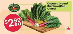 Healthy Planet ORGANIC Green/Rainbow/Red Chard offer