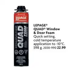 Home Hardware QUAD Window & Door Foam offer