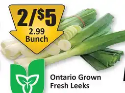 Starsky Ontario Grown Fresh Leeks offer