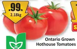 Starsky Ontario Grown Hothouse Tomatoes offer