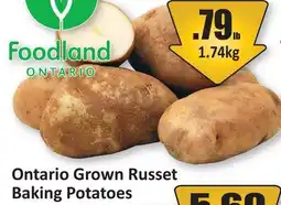 Starsky Ontario Grown Russet Baking Potatoes offer