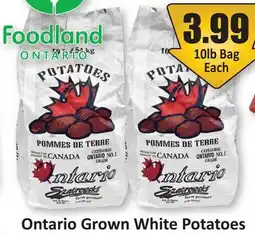 Starsky Ontario Grown White Potatoes offer