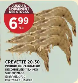 Kim Phat SHRIMP 20-30 offer