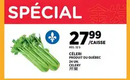 Kim Phat CELERY offer