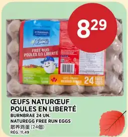 Kim Phat BURNBRAE NATUREGG FREE RUN EGGS offer