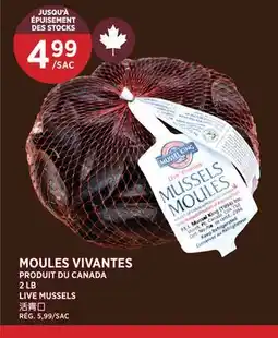 Kim Phat LIVE MUSSELS offer