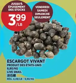 Kim Phat LIVE SNAIL offer