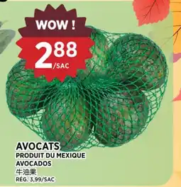 Kim Phat AVOCADOS offer