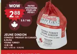Kim Phat YOUNG TURKEY offer