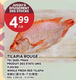 Kim Phat WHOLE FRESH RED TILAPIA offer