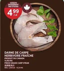 Kim Phat FRESH GRASS CARP STEAK offer