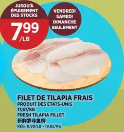 Kim Phat FRESH TILAPIA FILLET offer