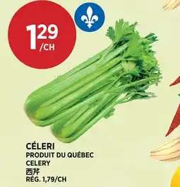 Kim Phat CÉLERI offer
