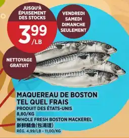 Kim Phat WHOLE FRESH BOSTON MACKEREL offer