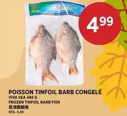 Kim Phat VIVA SEA FROZEN TINFOIL BARB FISH offer