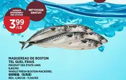 Kim Phat WHOLE FRESH BOSTON MACKEREL offer