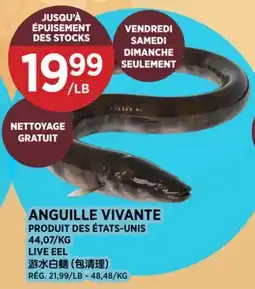 Kim Phat LIVE EEL offer