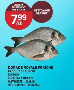 Kim Phat FRESH SEA BREAM offer