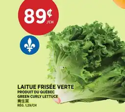 Kim Phat GREEN CURLY LETTUCE offer