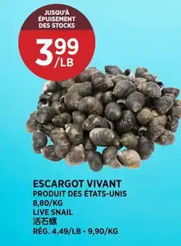 Kim Phat LIVE SNAIL offer