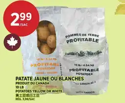 Kim Phat POTATOES YELLOW OR WHITE offer