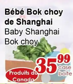 Marche C&T Baby Shanghai Bok choy offer